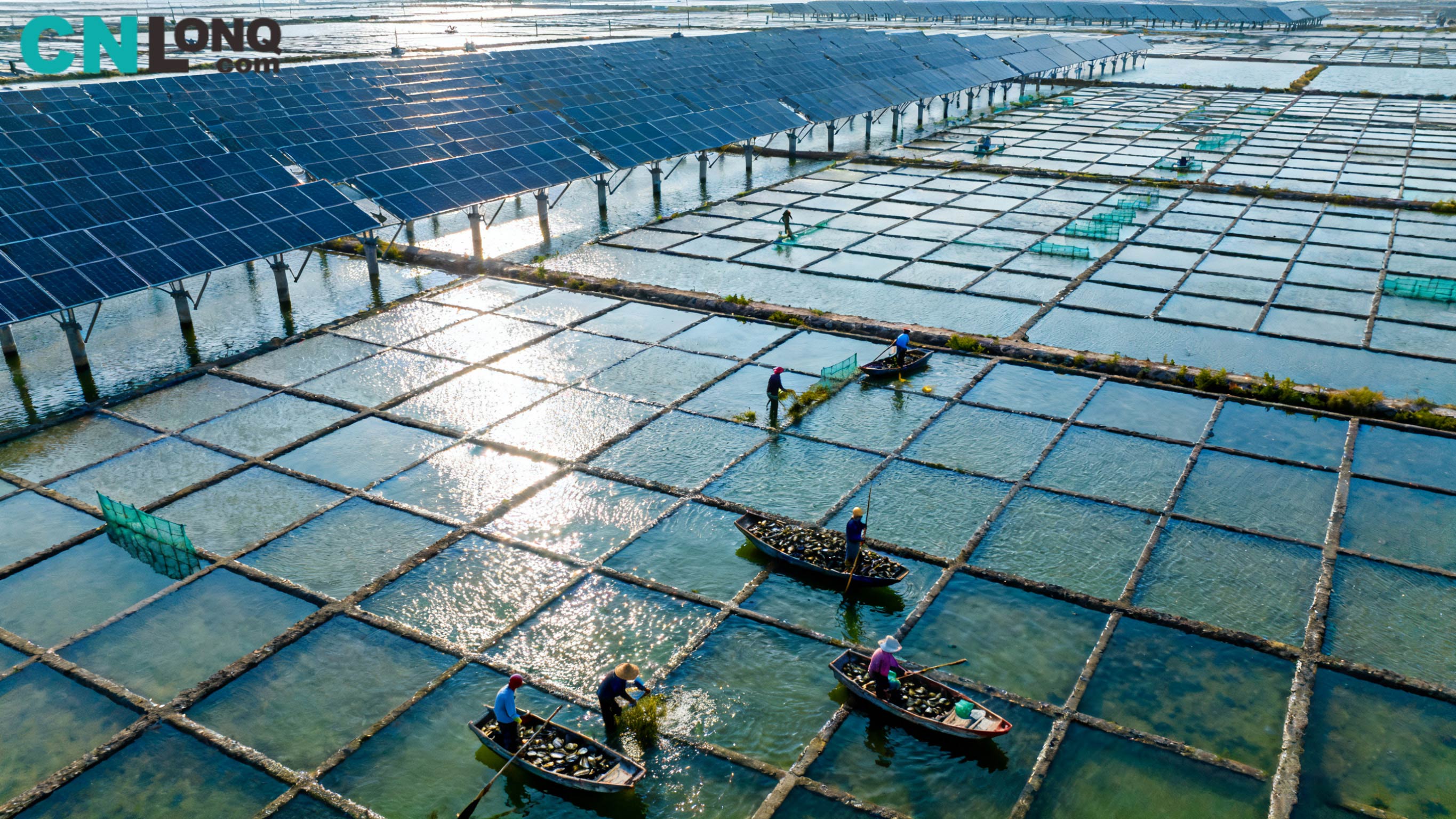 総投資額は12億元！新島青口塩田250MW「漁業と太陽光の補完」プロジェクトが着工